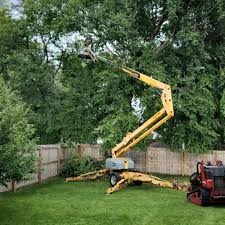 Professional Tree Removal Services in Longtown, OK